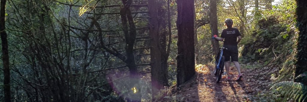 Milly (Amanda) Bancroft banner