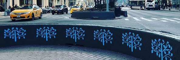 MandiBierly's profile banner image