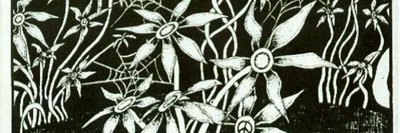EnneagramEmily's profile banner image