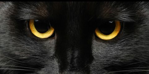 JoseTorralba99's profile banner image
