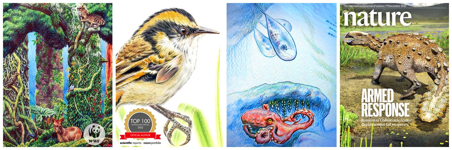 Mauricio Alvarez 🎨🌿Science Illustrator banner