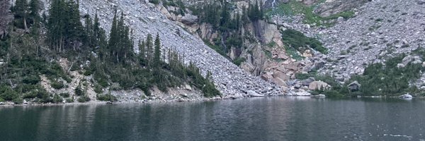 coniglioCES Profile Banner
