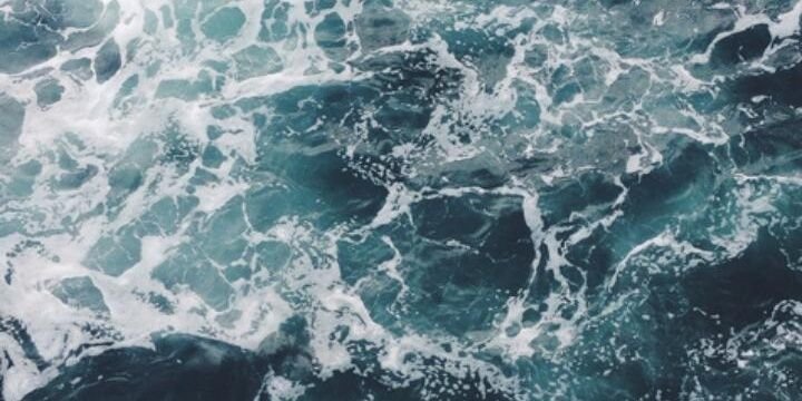 ilseekkels_'s profile banner image