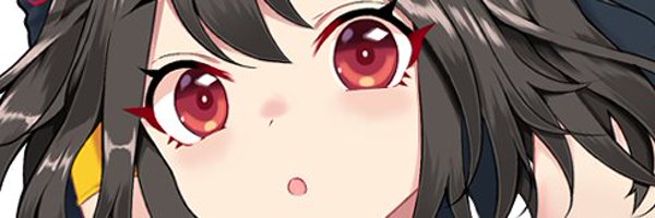 tsuru0621 Profile Banner