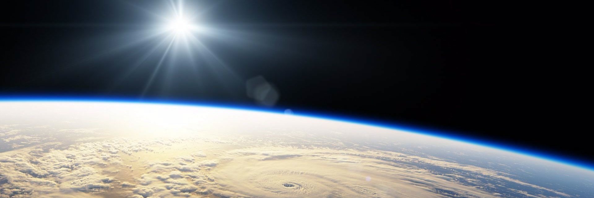 🖕 Fuck You "Elon Trump" 🖕 banner