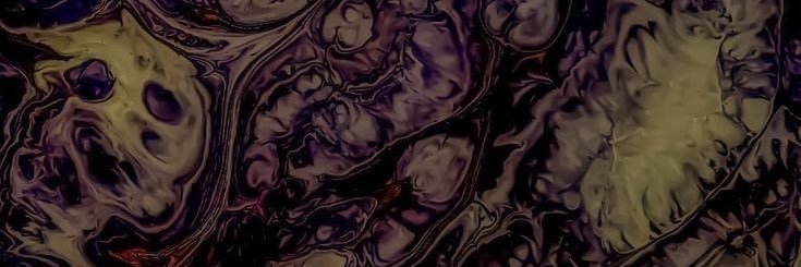sunideys's profile banner image