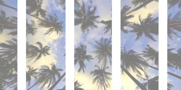 cin695RTMS14's profile banner image