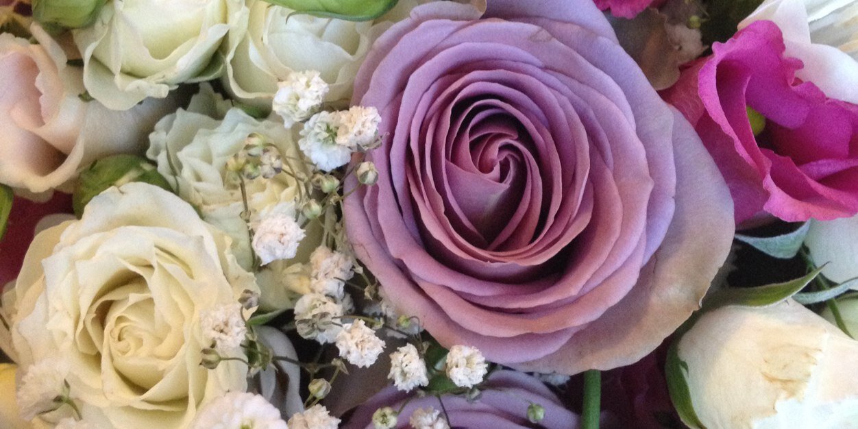 HelenEvison's profile banner image