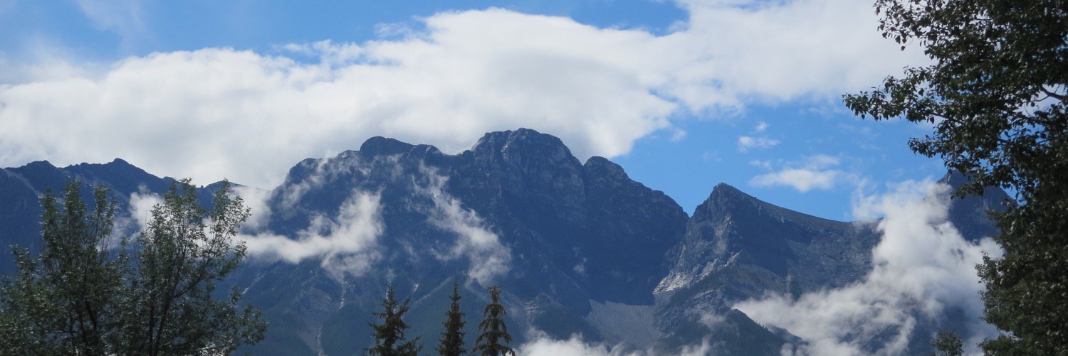 DibbleeTom's profile banner image