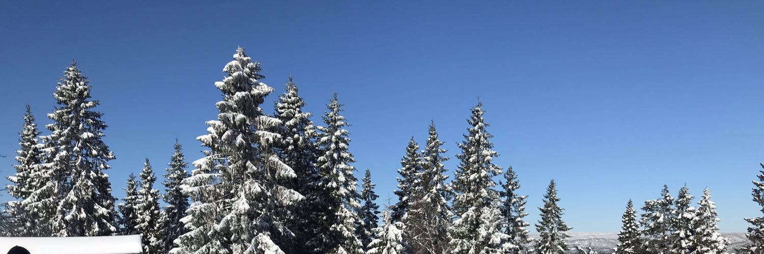 Katerini T. Storeng banner