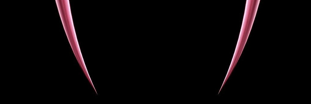 bastiiprvt's profile banner image