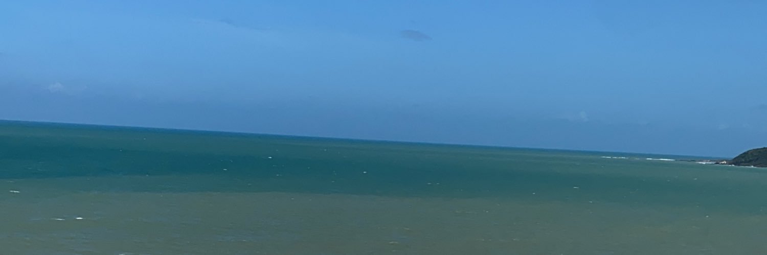 sthenisson banner