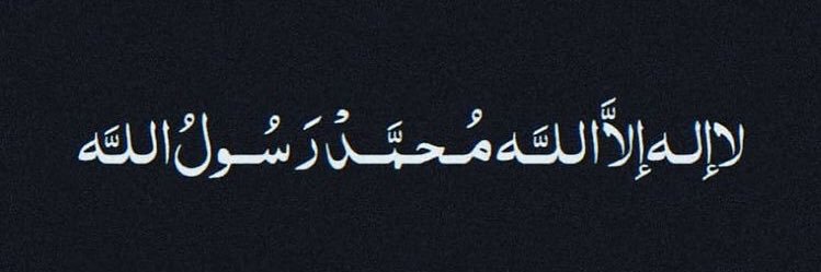 MaleeZaheer's profile banner image