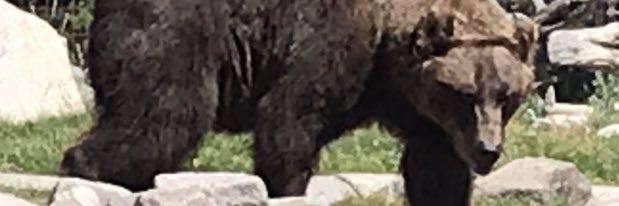 hubbard_td's profile banner image