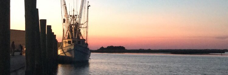 heys_rowan's profile banner image