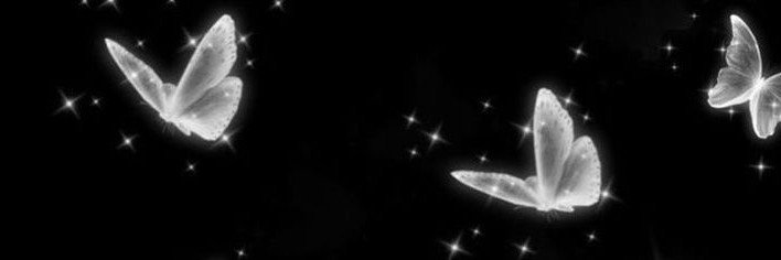 blossomdfz's profile banner image