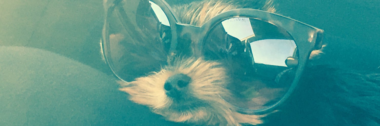 Candiladwig's profile banner image