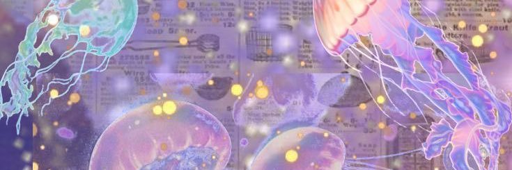 𝓡𝓲𝓷𝓲 ʚ♡ɞ banner