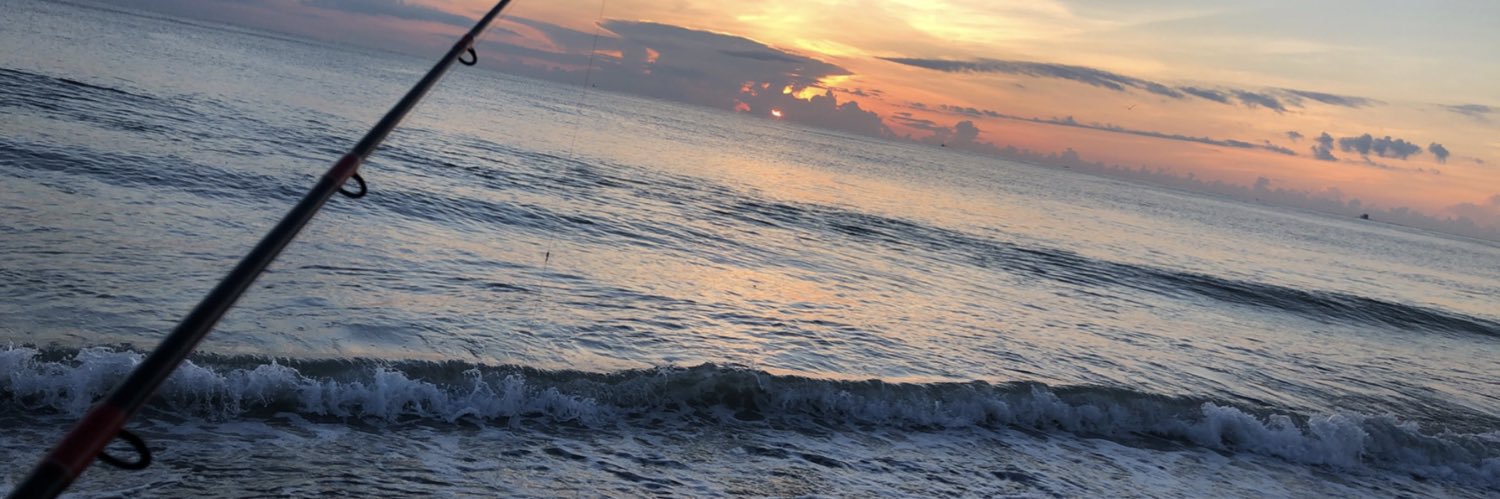 IsraeliChick's profile banner image