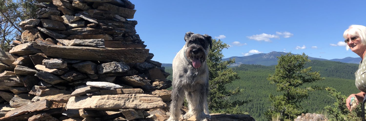 greyguy1's profile banner image