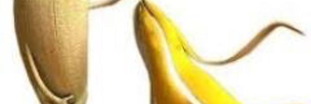 JCU_Bananas's profile banner image