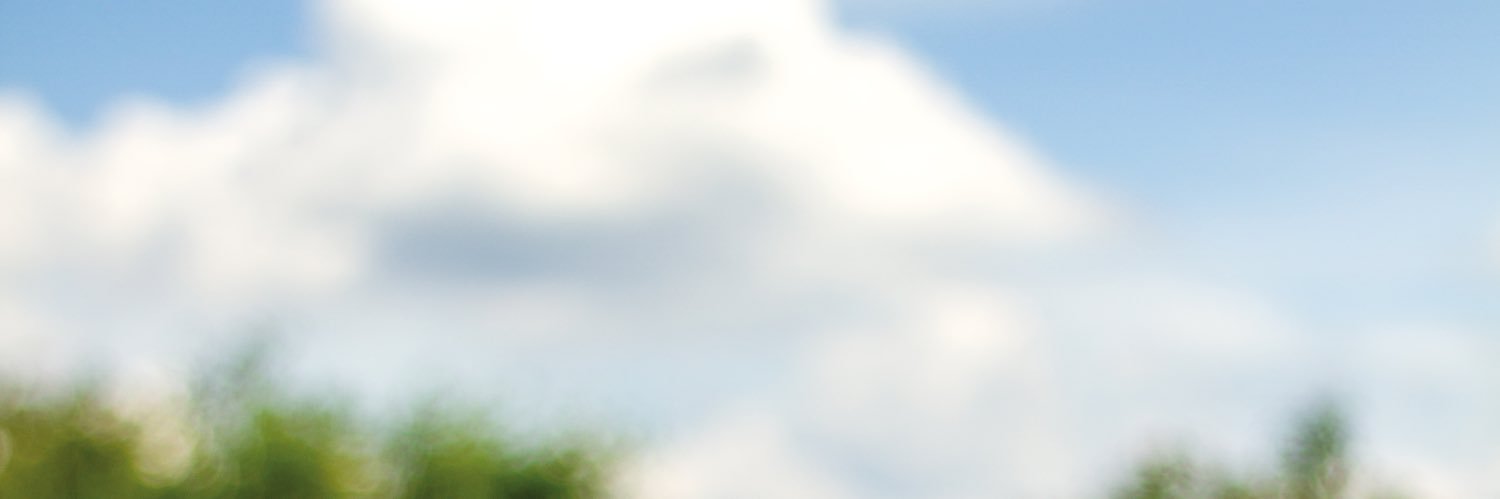 trashtiffy's profile banner image