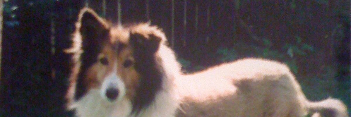 KimberyNichol1's profile banner image
