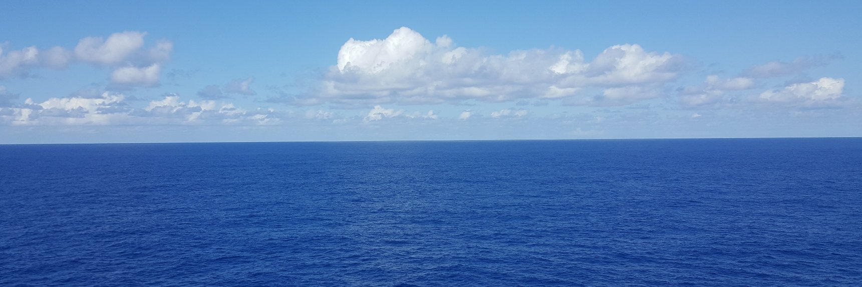 aliely's profile banner image