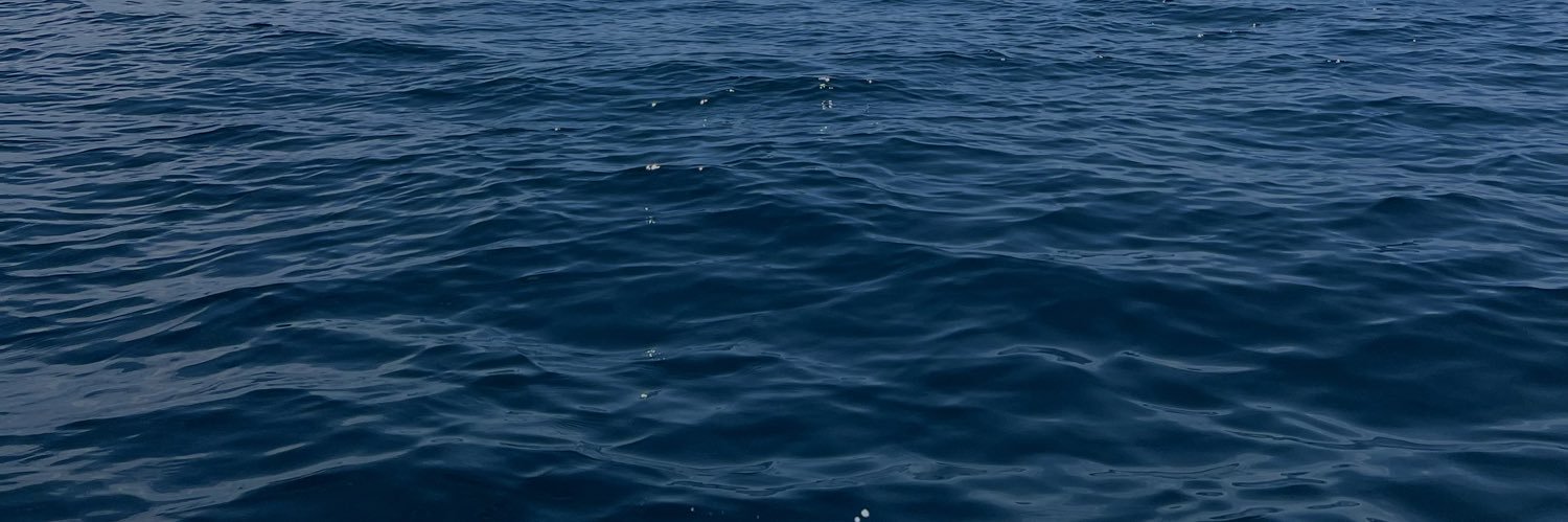 anabelacanale's profile banner image