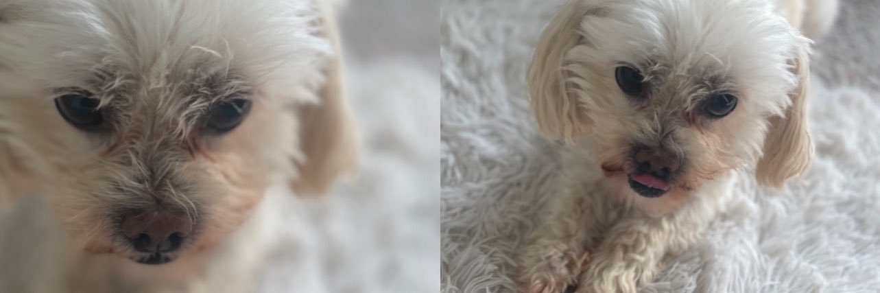 JuicyBre_'s profile banner image