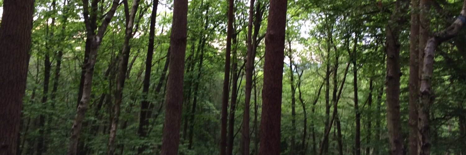redacted_person's profile banner image