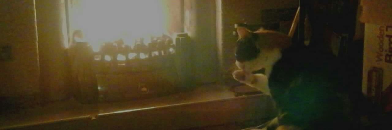 JTMoomin 🐔 banner