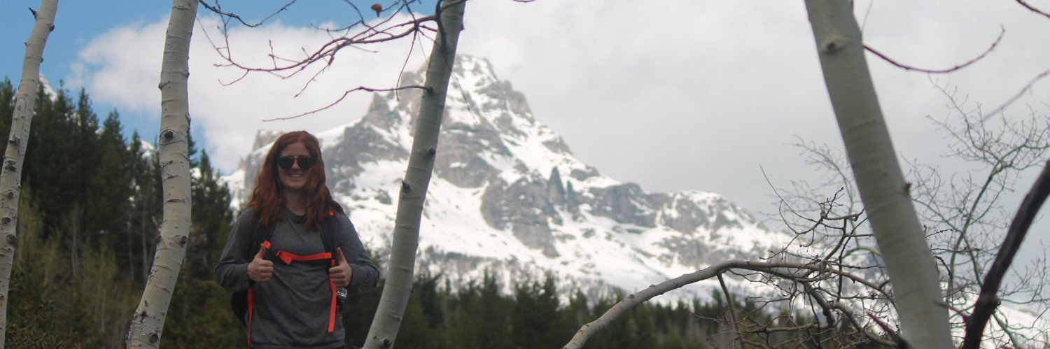 brischnell10's profile banner image