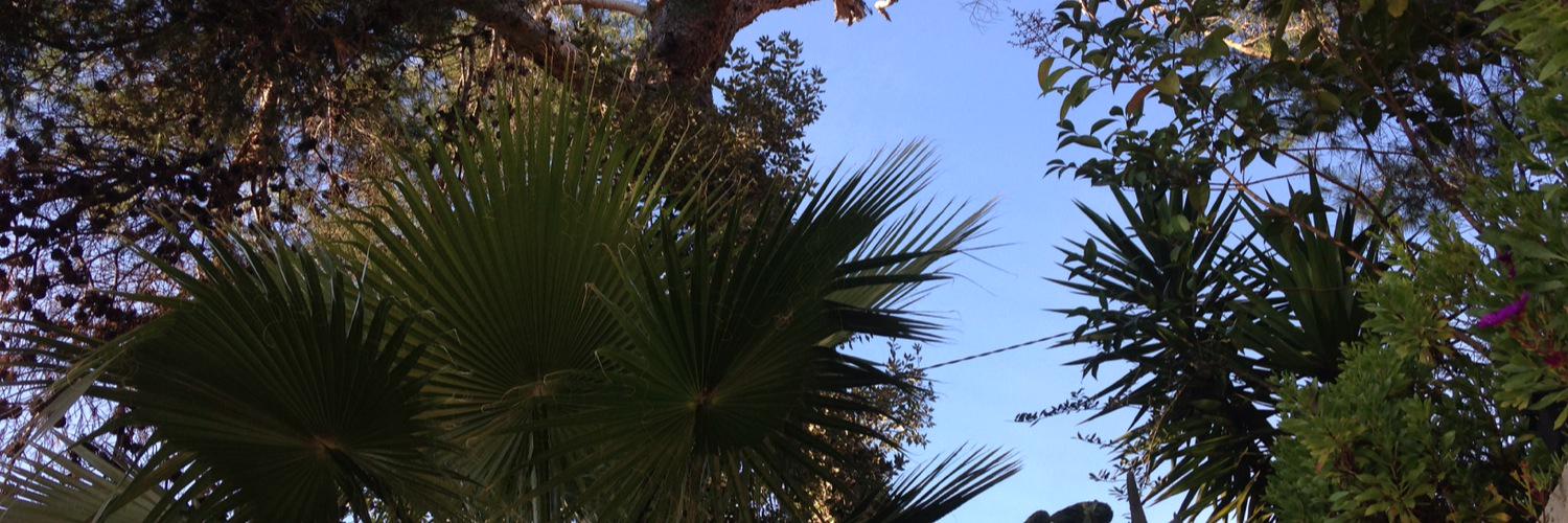 MLCeco's profile banner image