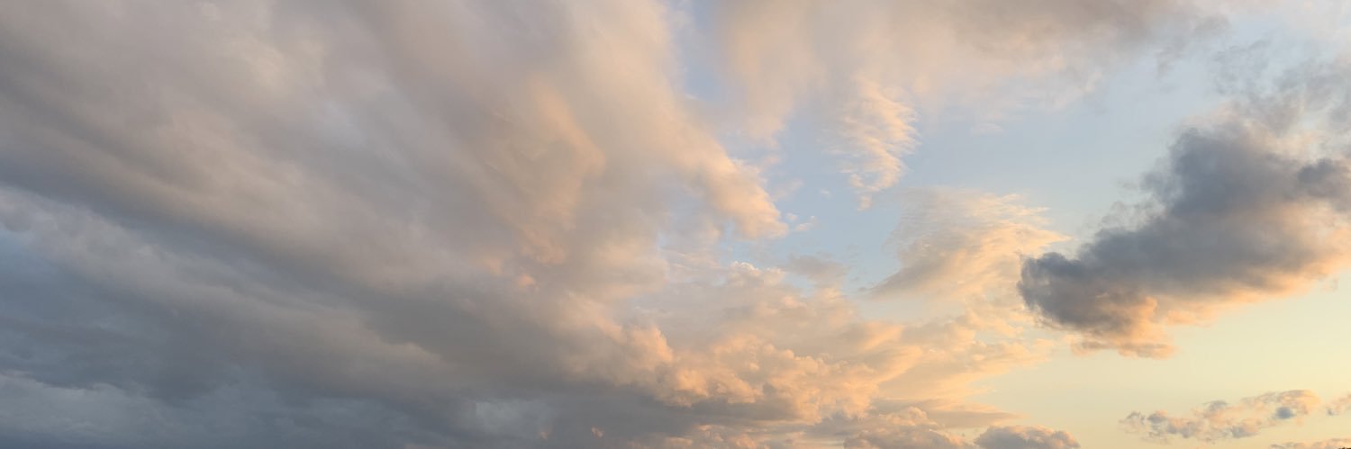 AnyaUlinich's profile banner image