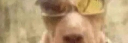 vinicim o astuto banner