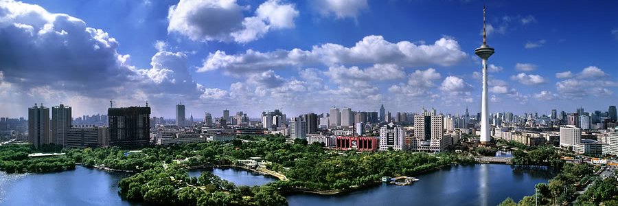 YitingXia's profile banner image