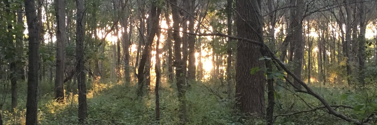 maddiebenzing's profile banner image