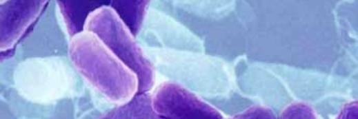 Canadian Association For Biological Safety banner