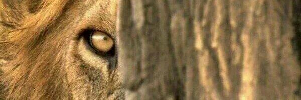 fvvvvvvf's profile banner image