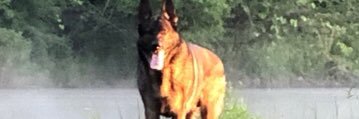 Devildoggs1967's profile banner image