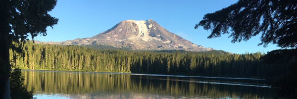 StedmanBarbara Profile Banner