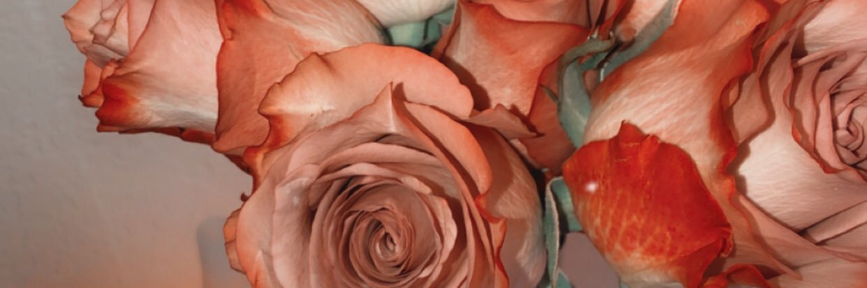 AbbyClarida's profile banner image