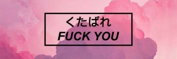 psilo_wulf's profile banner image