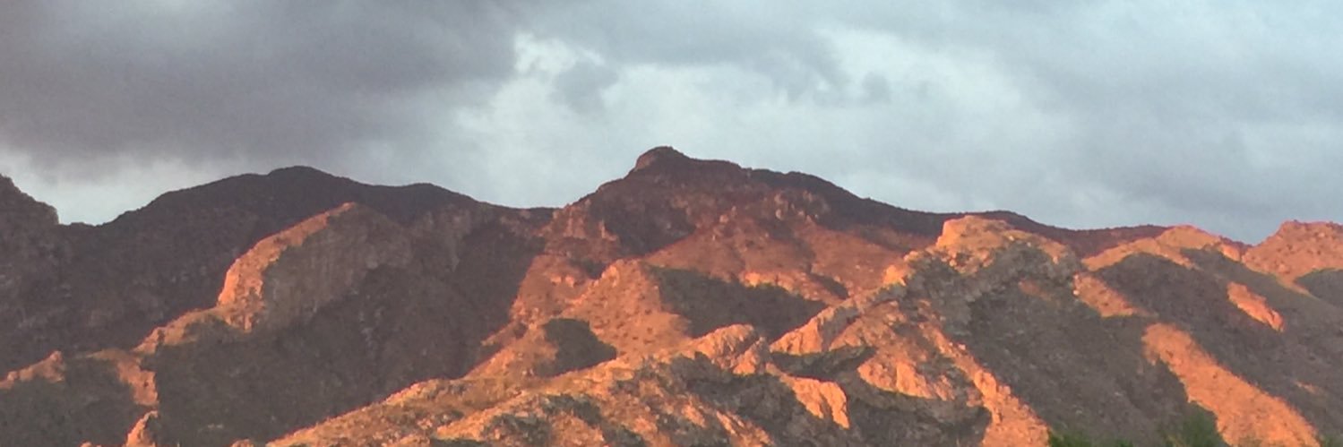 Tucson Zia banner