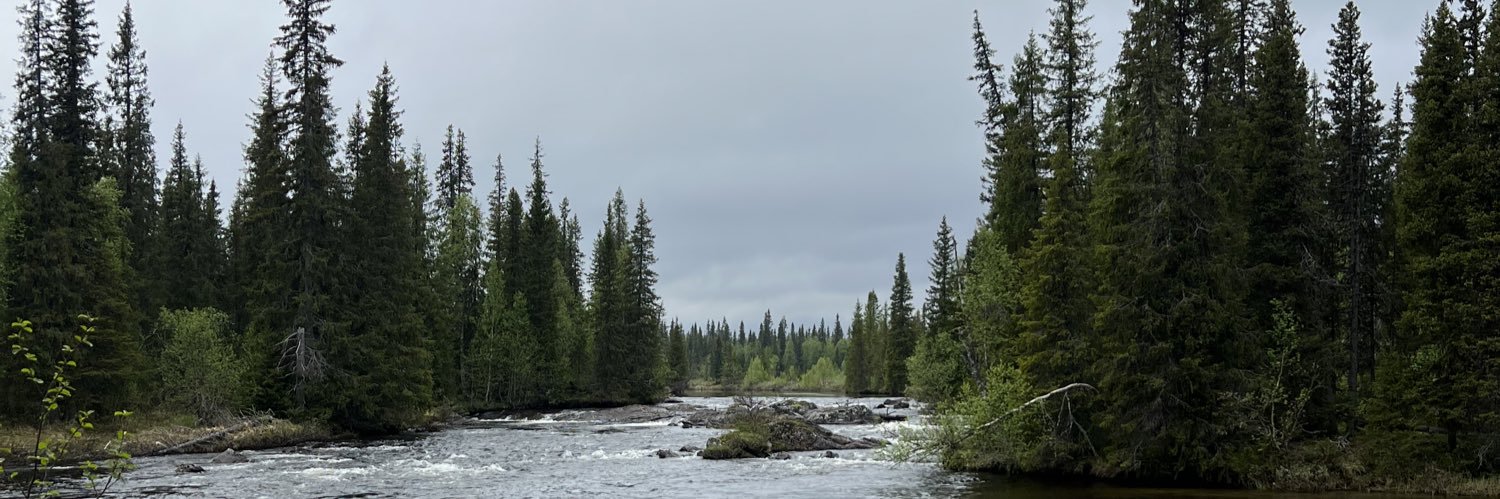 Robert Barkéus 🇺🇦🇺🇸🇸🇪🇬🇧🇮🇱 banner