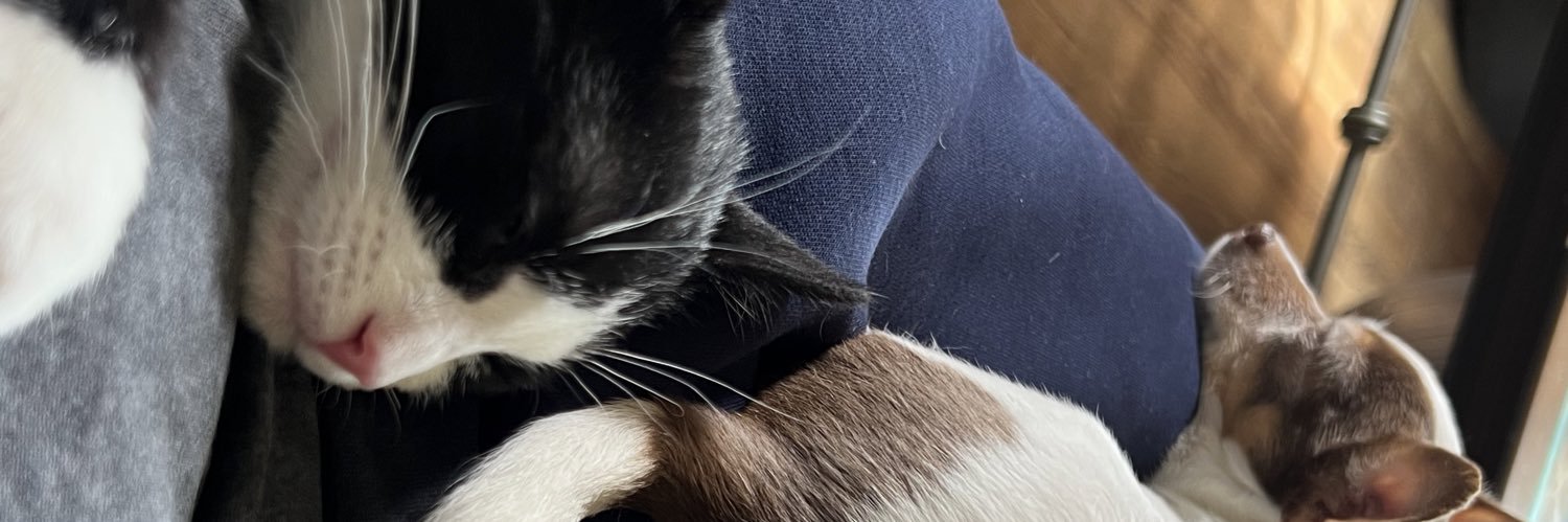 OGPuto's profile banner image