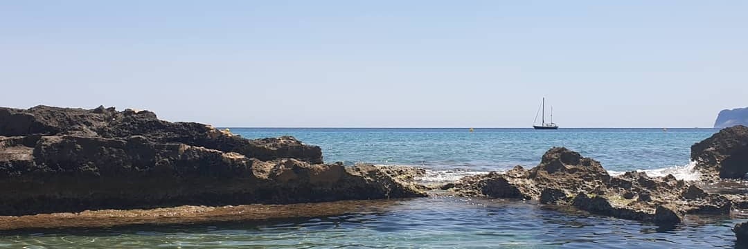 sergio banner