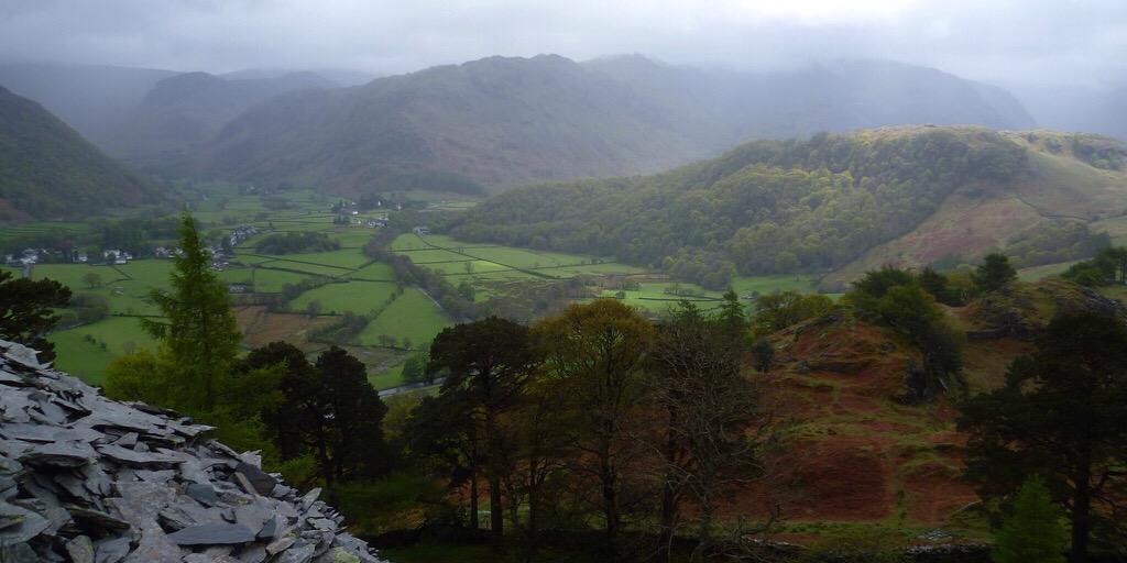 Stephen McConnachie banner