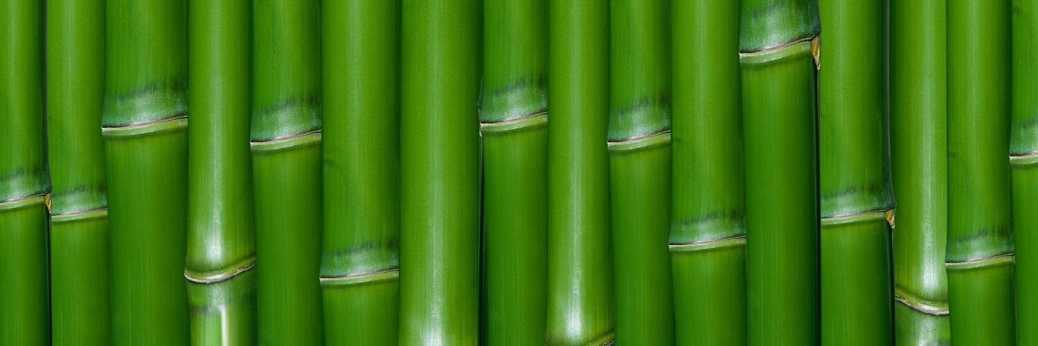 h. katsiaryna banner